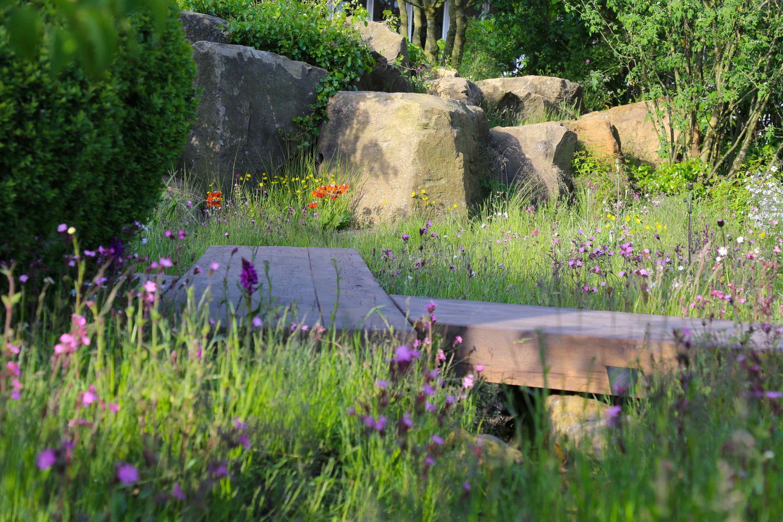 chelsea flower show 2015 – a crowded affair | gardening jules