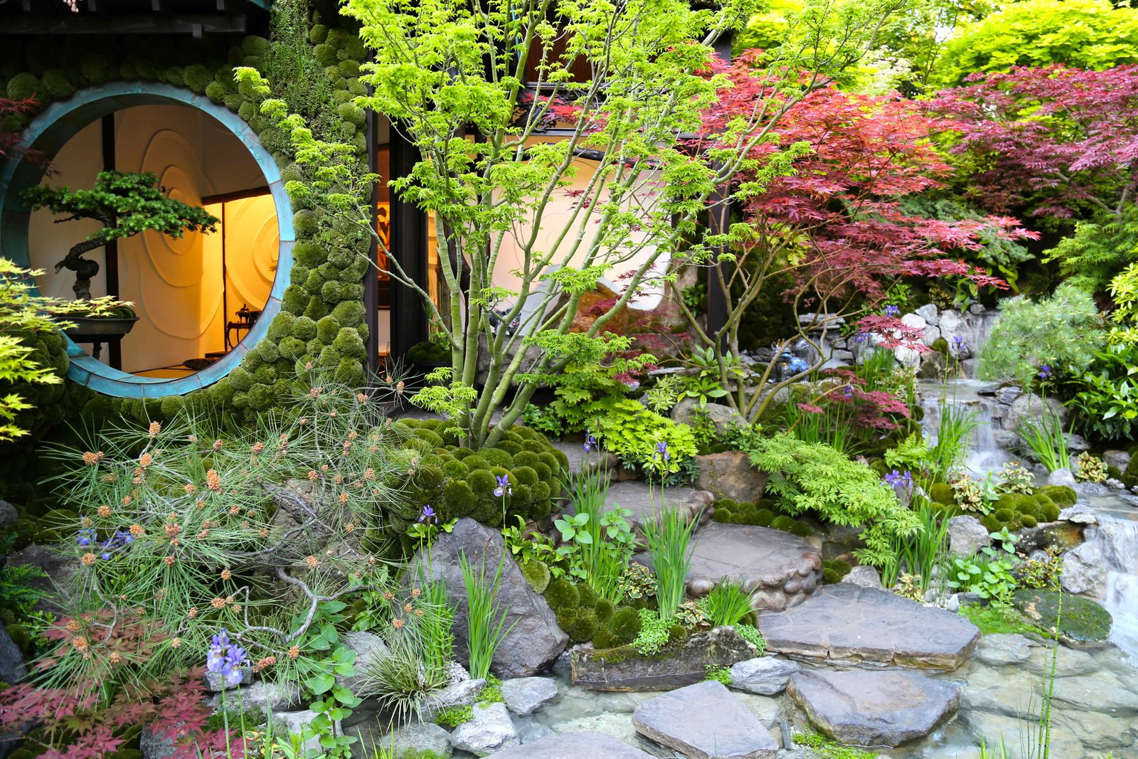 chelsea flower show 2015 – a crowded affair | gardening jules