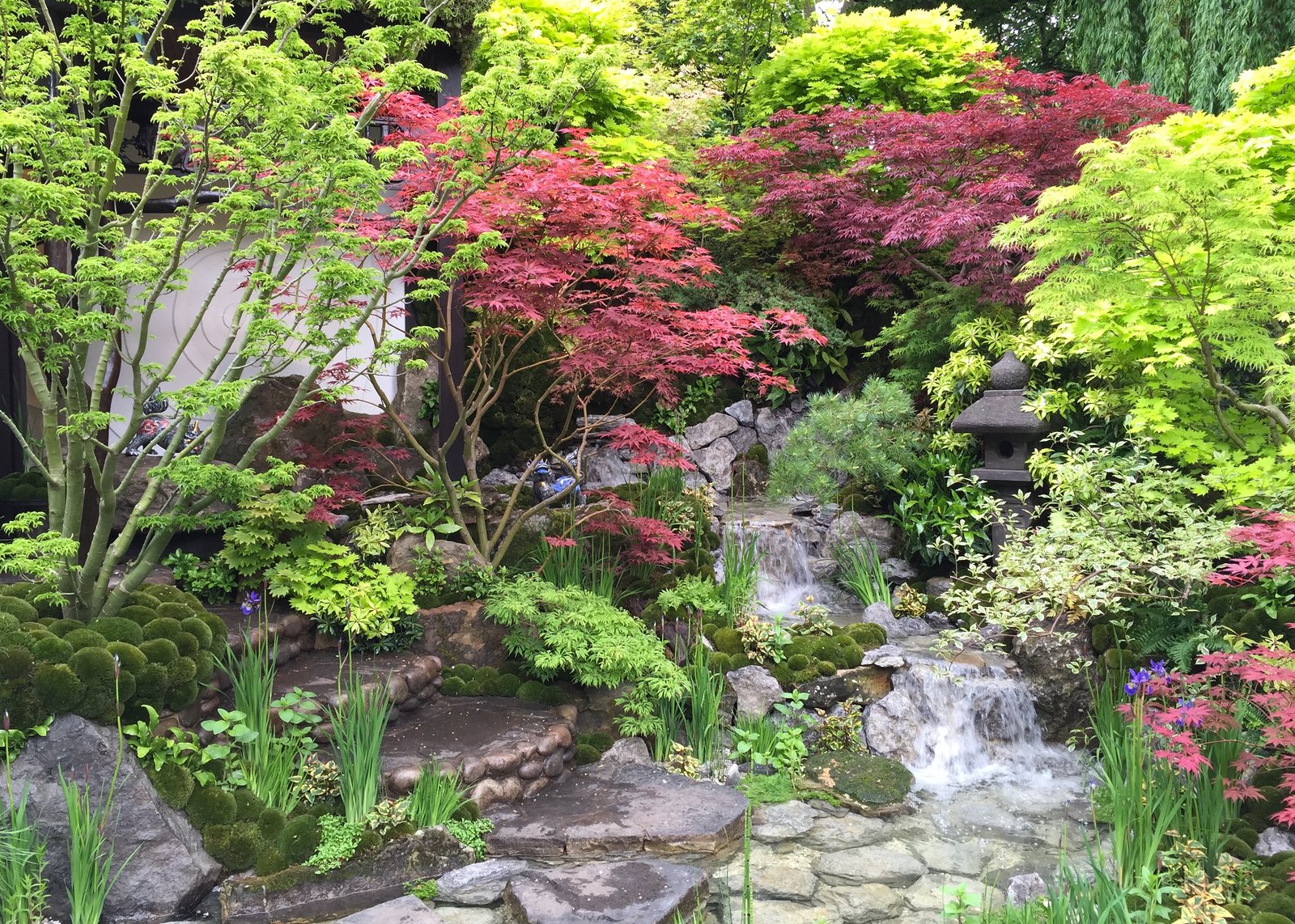 chelsea flower show 2015 – stars of the show: edo no niwa by