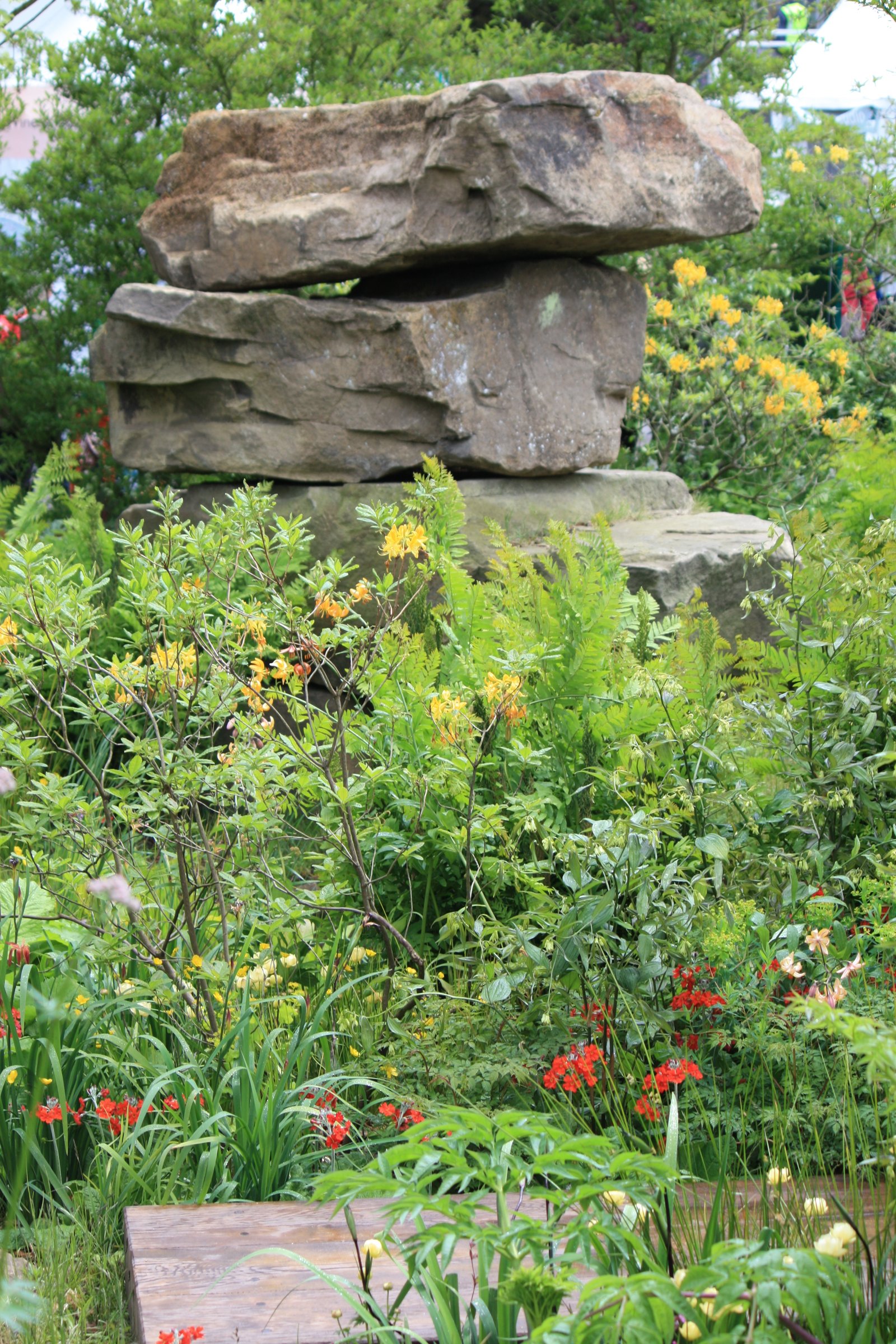 chelsea flower show 2015 – stars of the show: laurent-perrier