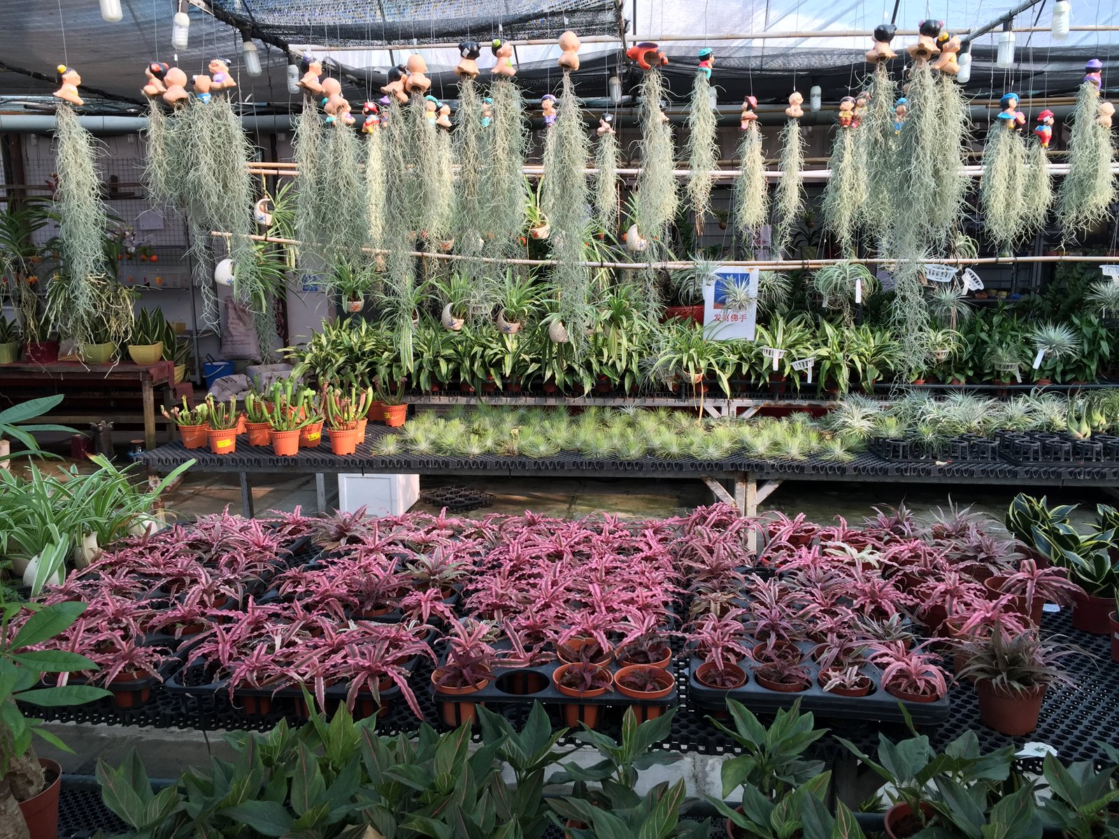 nursery at jalan bahar | 9 to 5 travel blog