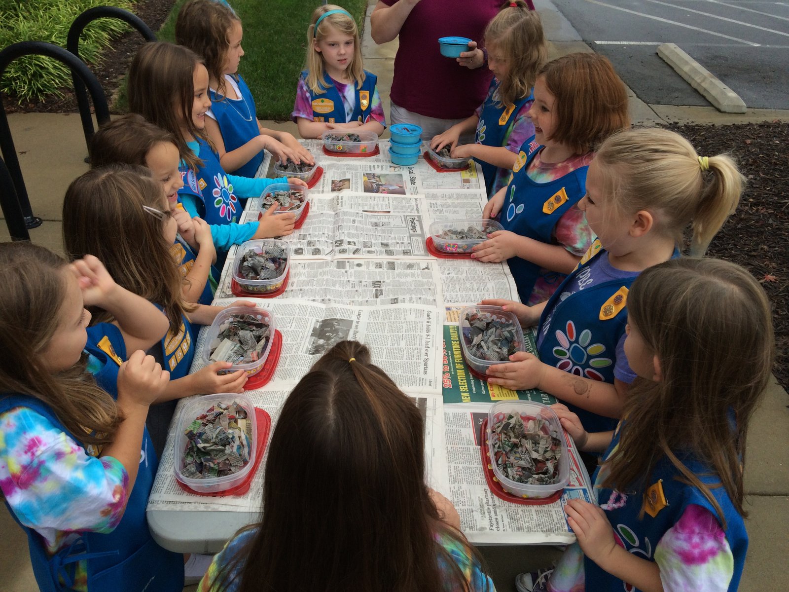 daisy journey spotlight: welcome to the daisy flower garden – blog