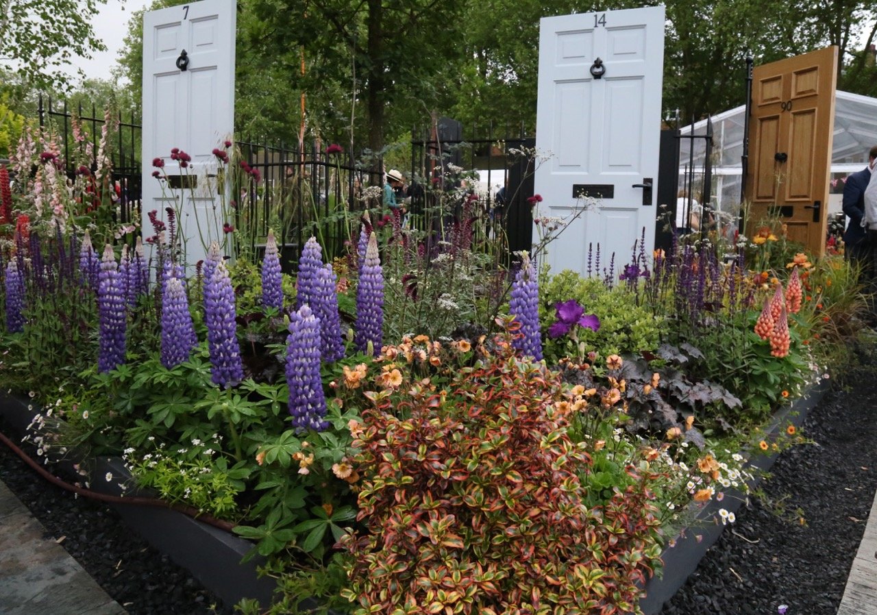 chelsea – the modern slavery garden | gardening jules