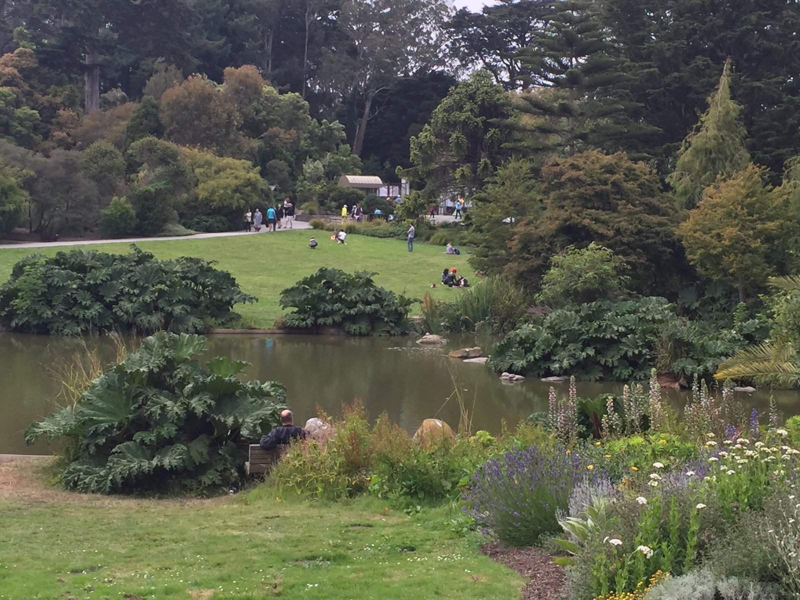 flower piano in the san francisco botanical garden – simple cherishes