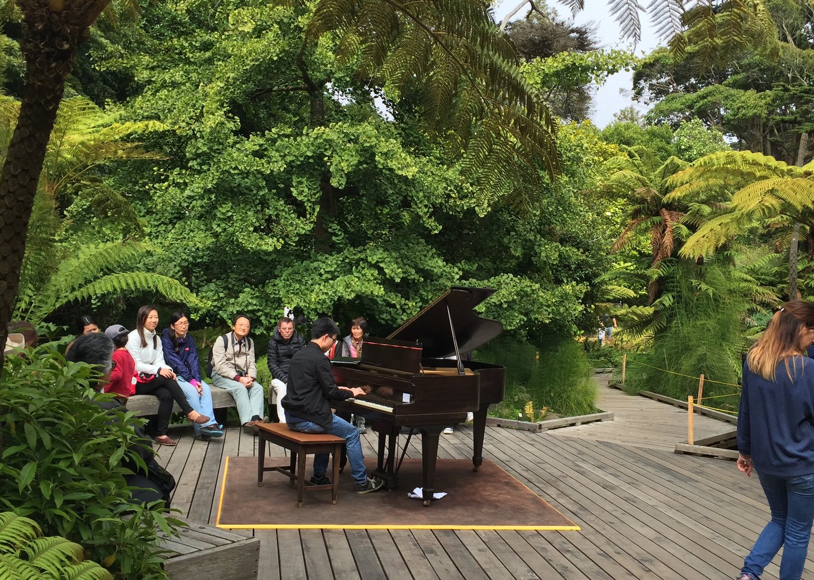 flower piano in the san francisco botanical garden – simple cherishes