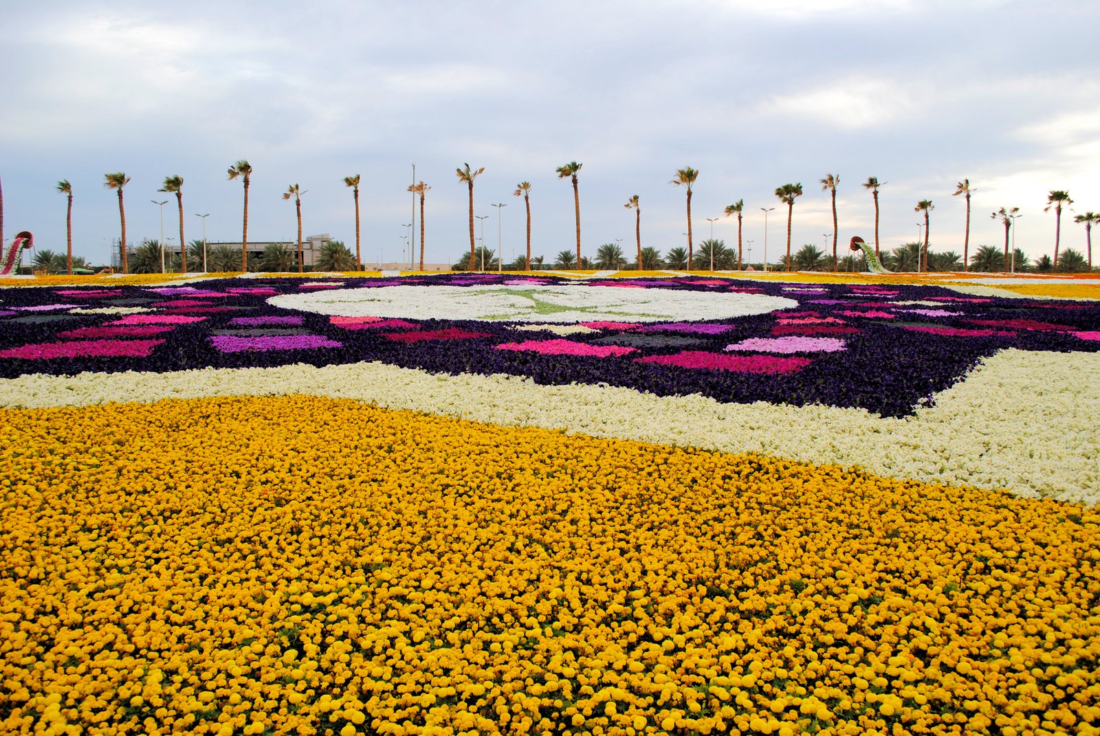 photo gallery: yanbu flower festival 2017 – food and travel moments
