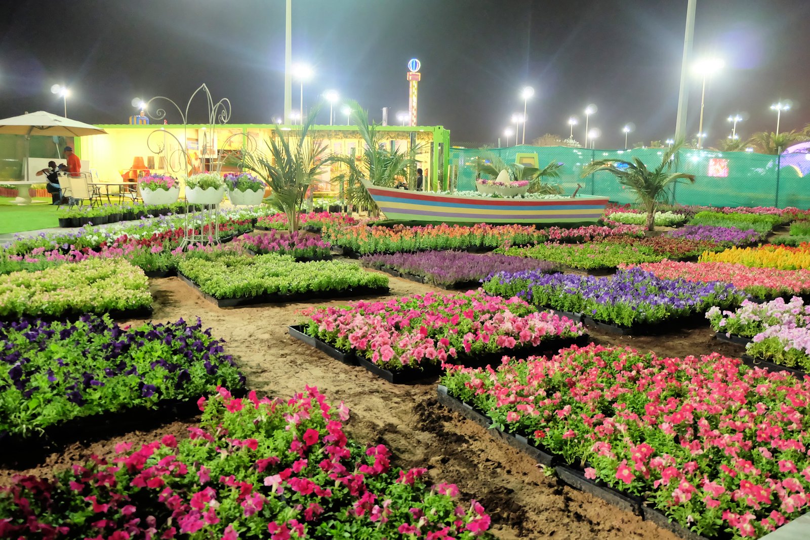 in full bloom: yanbu flower festival 2018 – food and travel moments