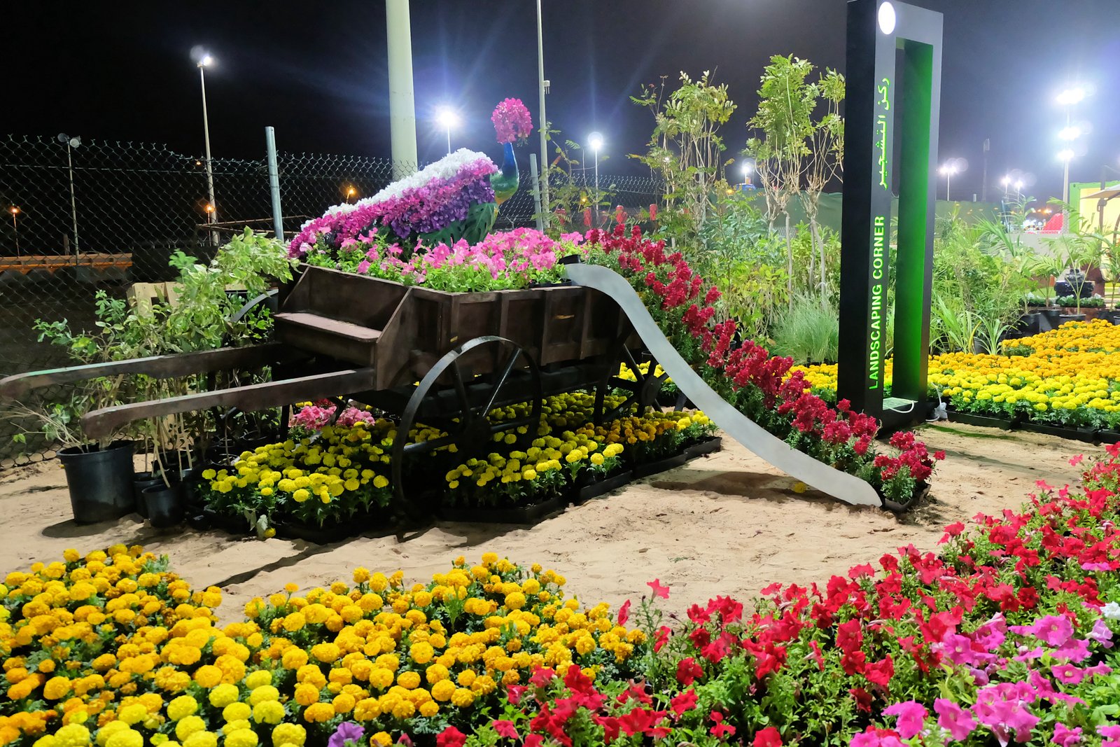 in full bloom: yanbu flower festival 2018 – food and travel moments