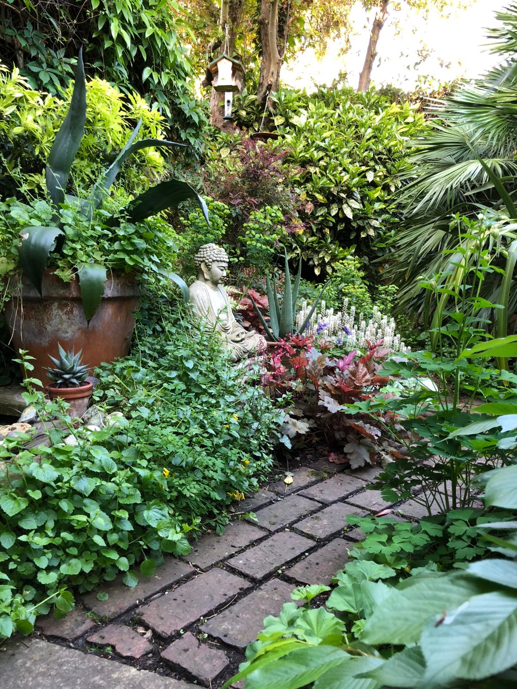 ten top tips for small, shady urban gardens – the frustrated gardener