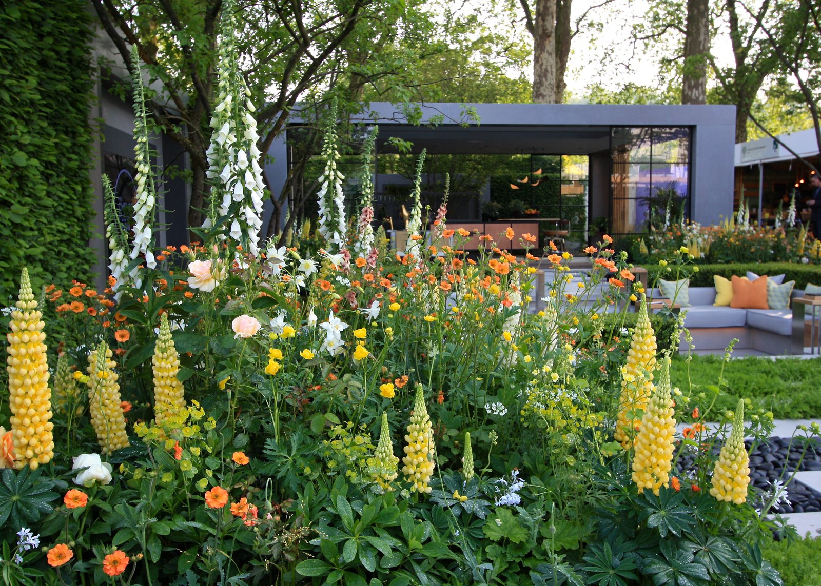 chelsea flower show 2018: the lg eco-city garden – the frustrated