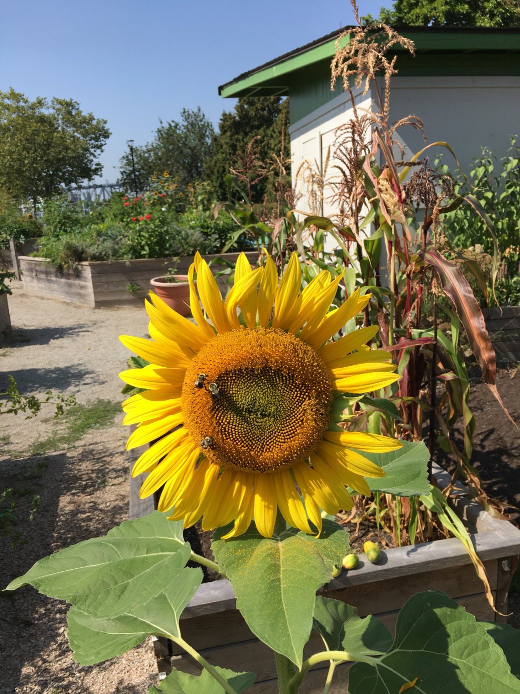 outdoor learning – inquire2empower