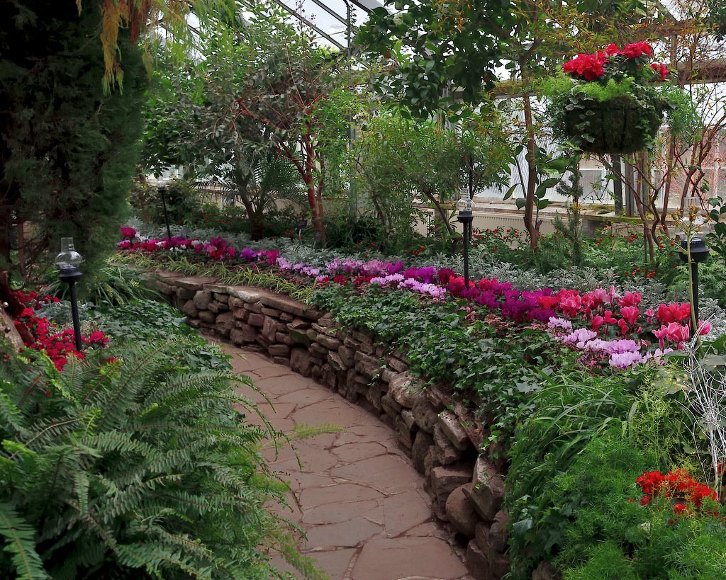 allan gardens conservatory winter flower show 2018 part 3 | jbipix