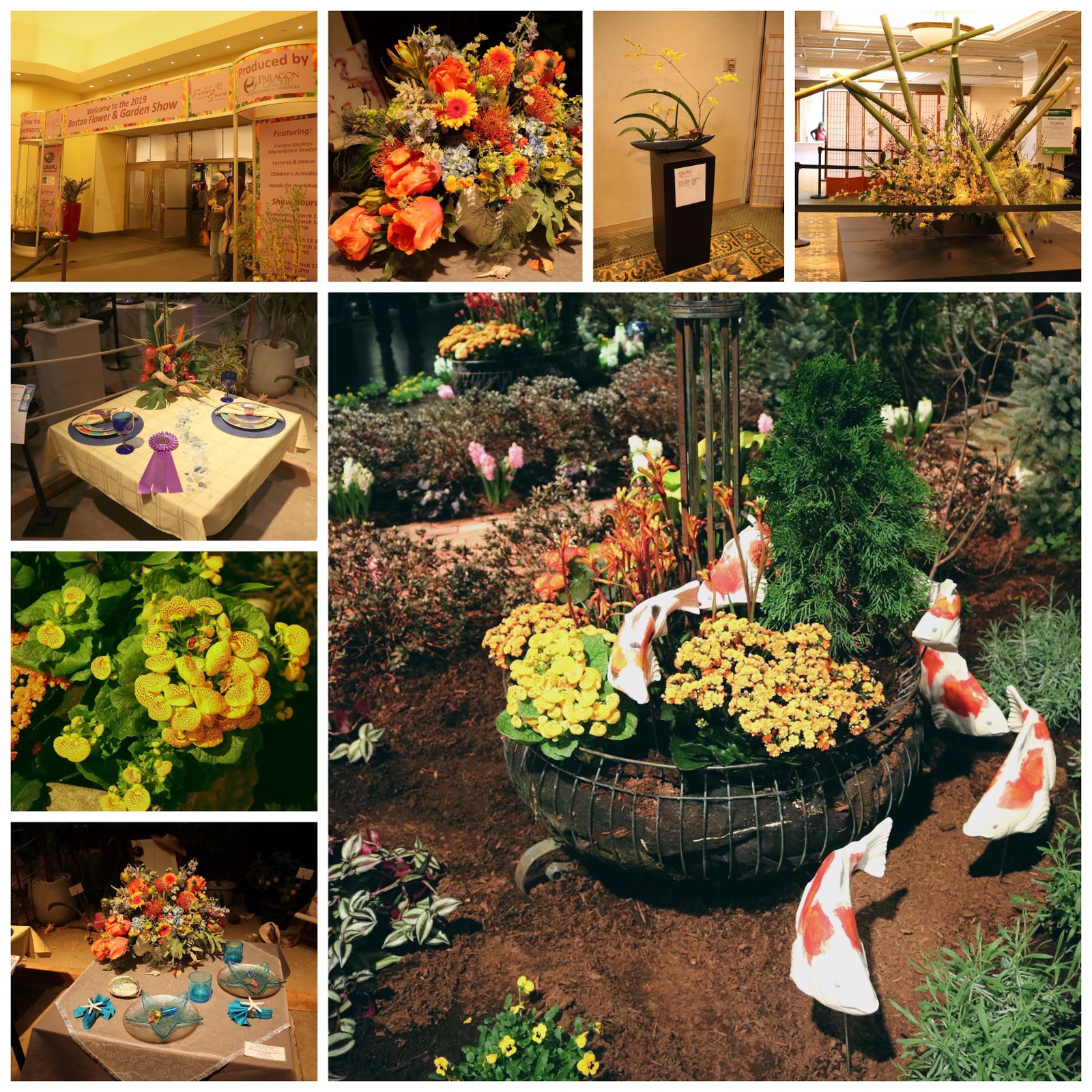 boston flower show | strafford county master gardeners association