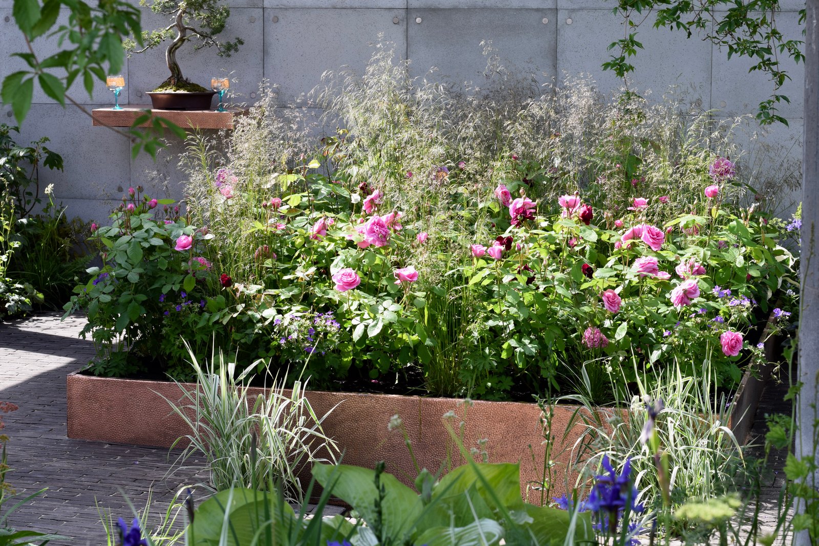 rewilding – the chelsea flower show 2019 | acoastalplot