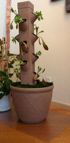 9 Best Vertical Hydroponic Garden Towers images | Tower ...