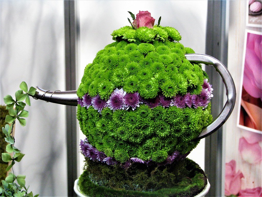 img_5931: melbourne international flower & garden show 201… | flickr