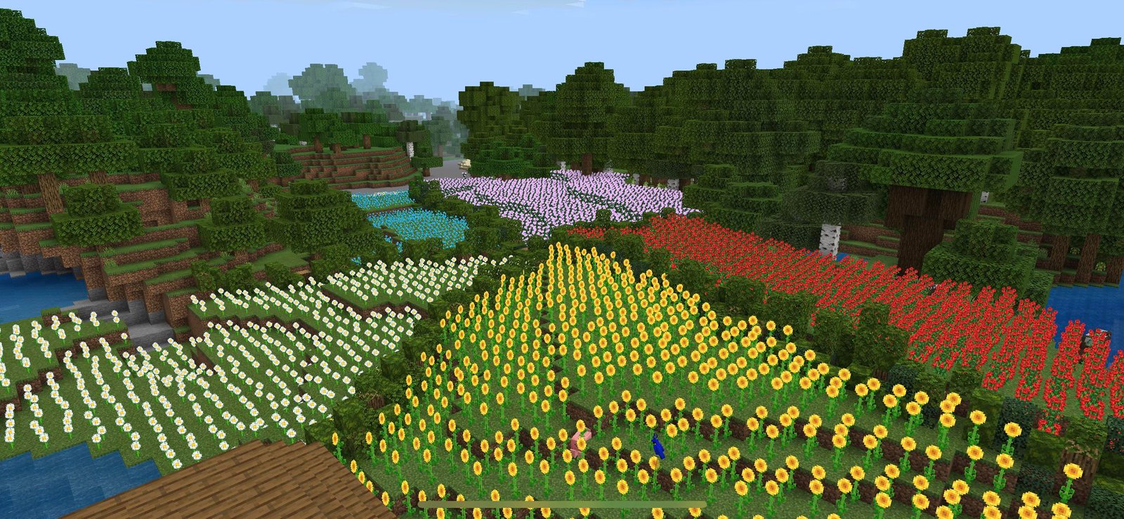 flower garden on my friends server. : minecraft