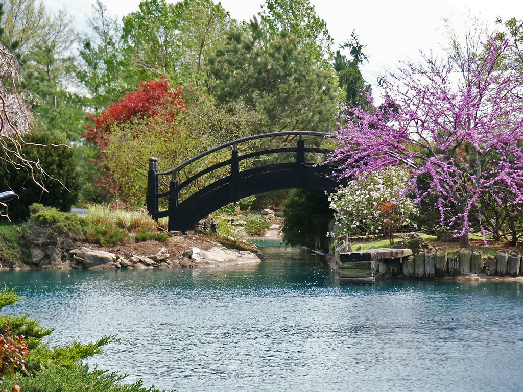 monet was here, japanese stroll garden, springfield, mo | flickr