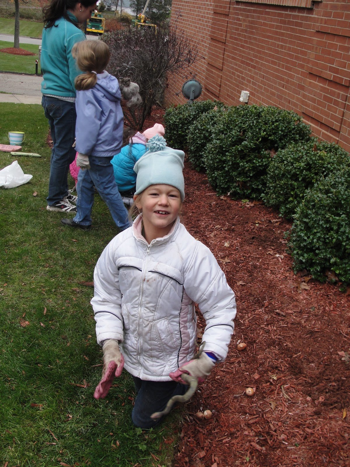 daisy flower garden journey - leighann marquiss