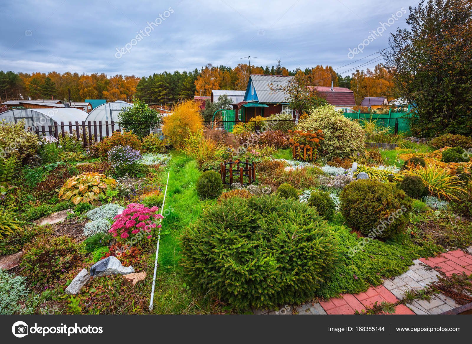 suburban area flower garden fall end september siberia russia