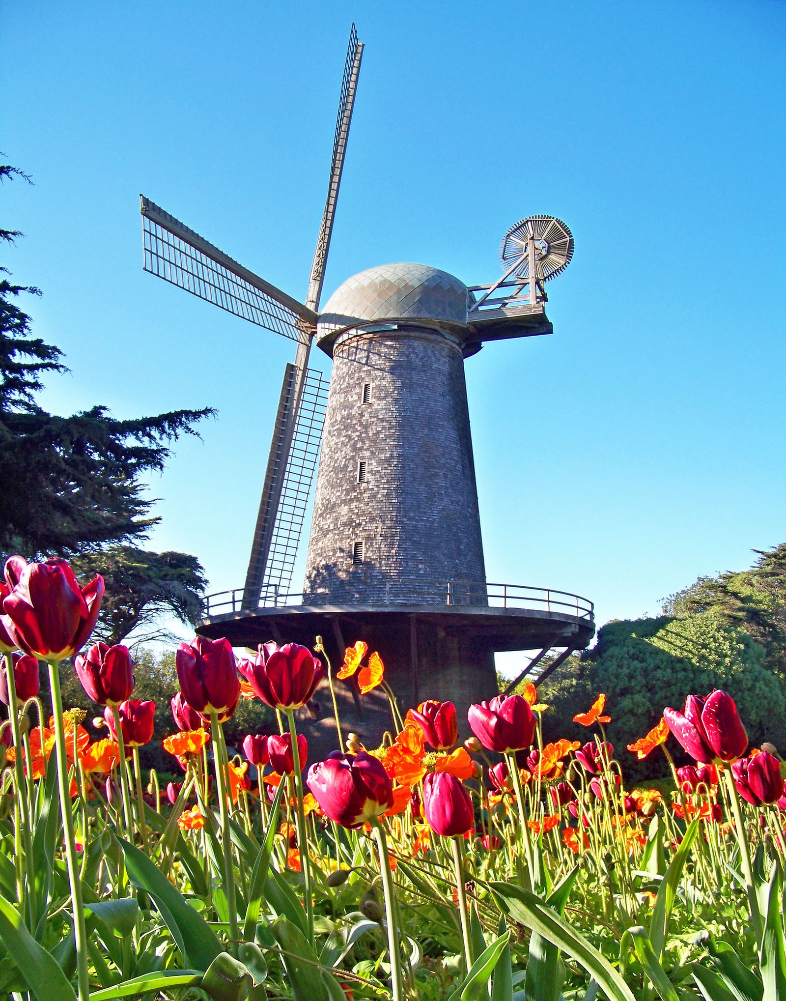 9 unique spots to take breathtaking photos in san francisco