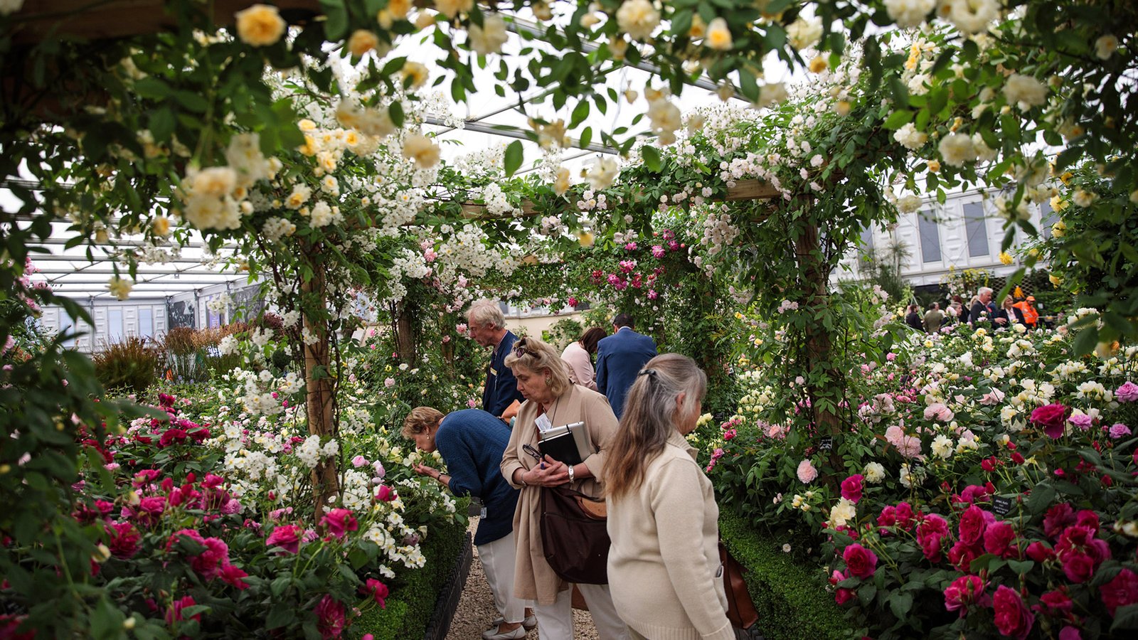 chelsea flower show 2018 | financial times