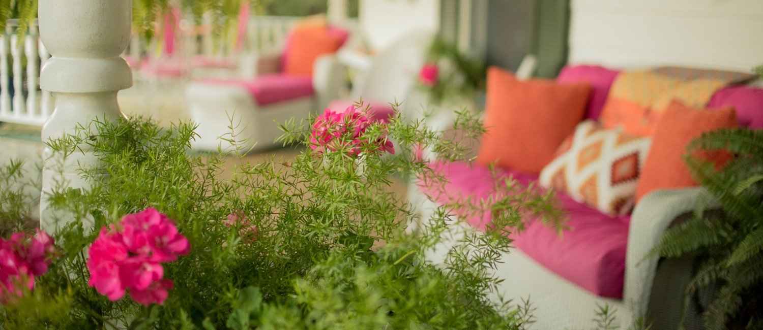 harmony hill bed and breakfast in sparta, north carolina