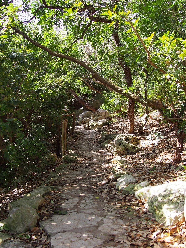 zilker japanese garden | isamu taniguchi oriental garden
