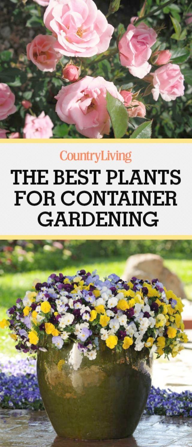 july gardening ideas onto gardening tools johor bahru | indoor