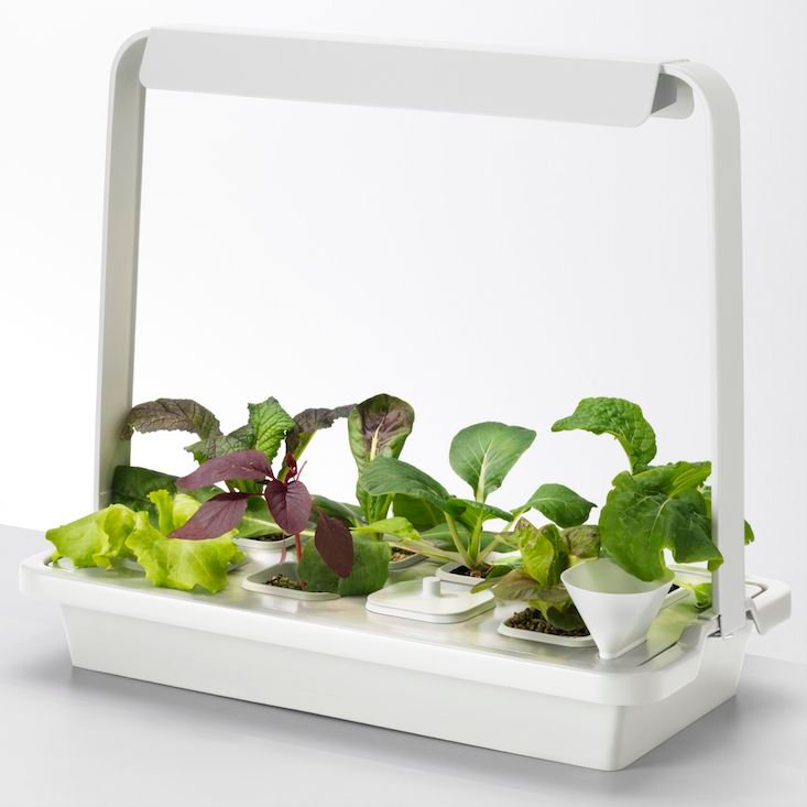 New from Ikea: A Hydroponic Countertop Garden Kit | Indoor ...
