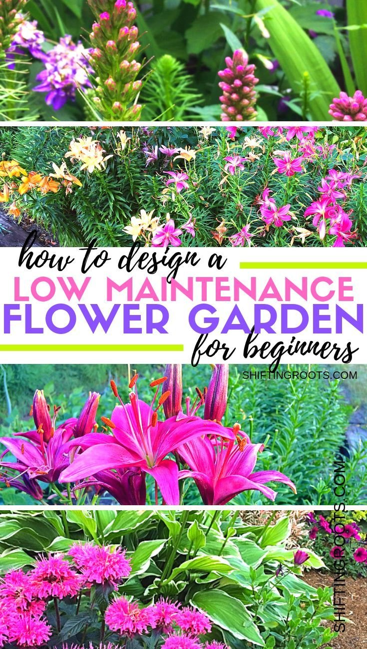 designing a low maintenance flower garden with perennials doesn't