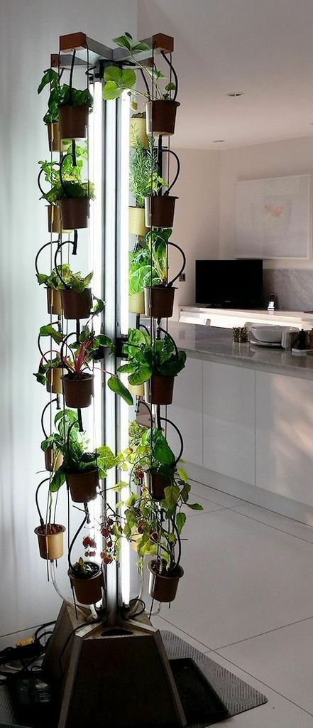 Indoor Gardening | Gardening Steps