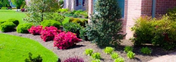 8 insider secrets to beautiful front yard landscaping
