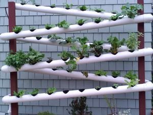 pvc gardens - Buscar con Google | pvc garden | Pinterest ...
