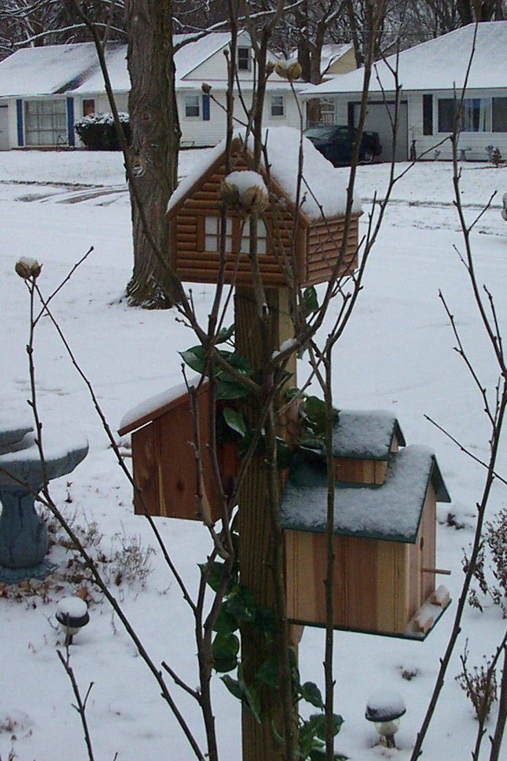 birdhouses in our front yard in kettering ohio bill koenig