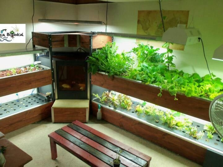 21 best Custom Aquaponics images on Pinterest | Aquaponics ...