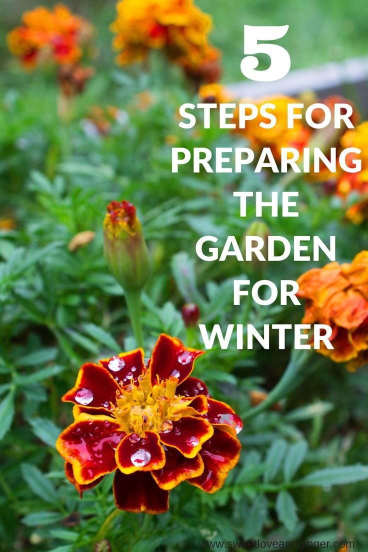 these 6 simple steps for preparing the garden for winter will be a