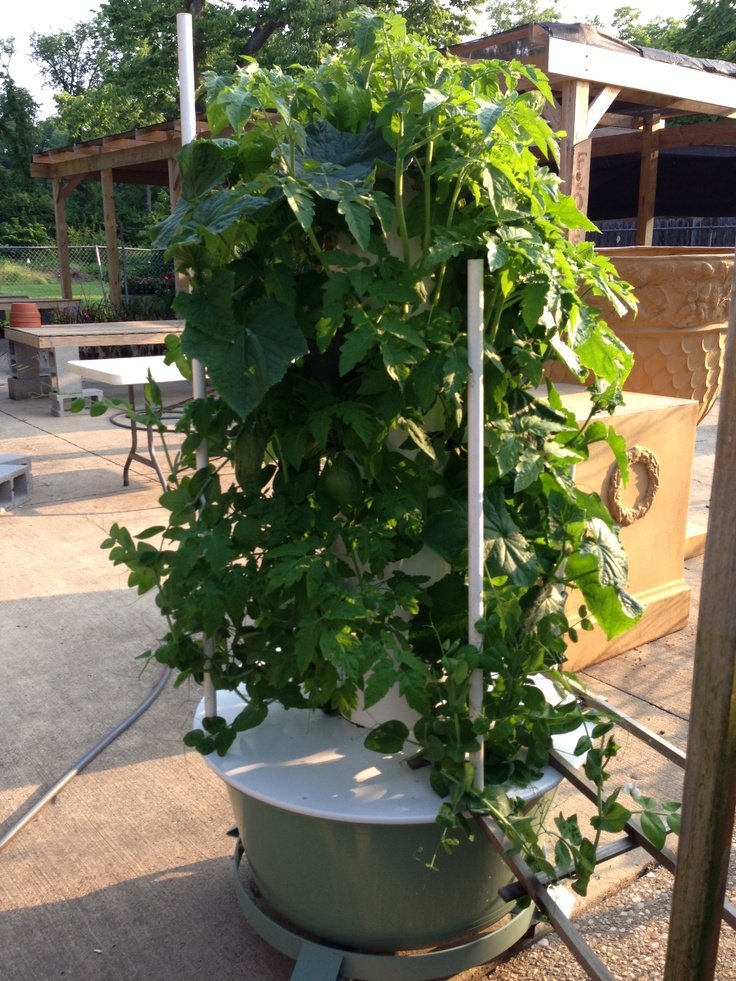 Hydroponic Tower garden | VERTICAL GARDENS | Pinterest
