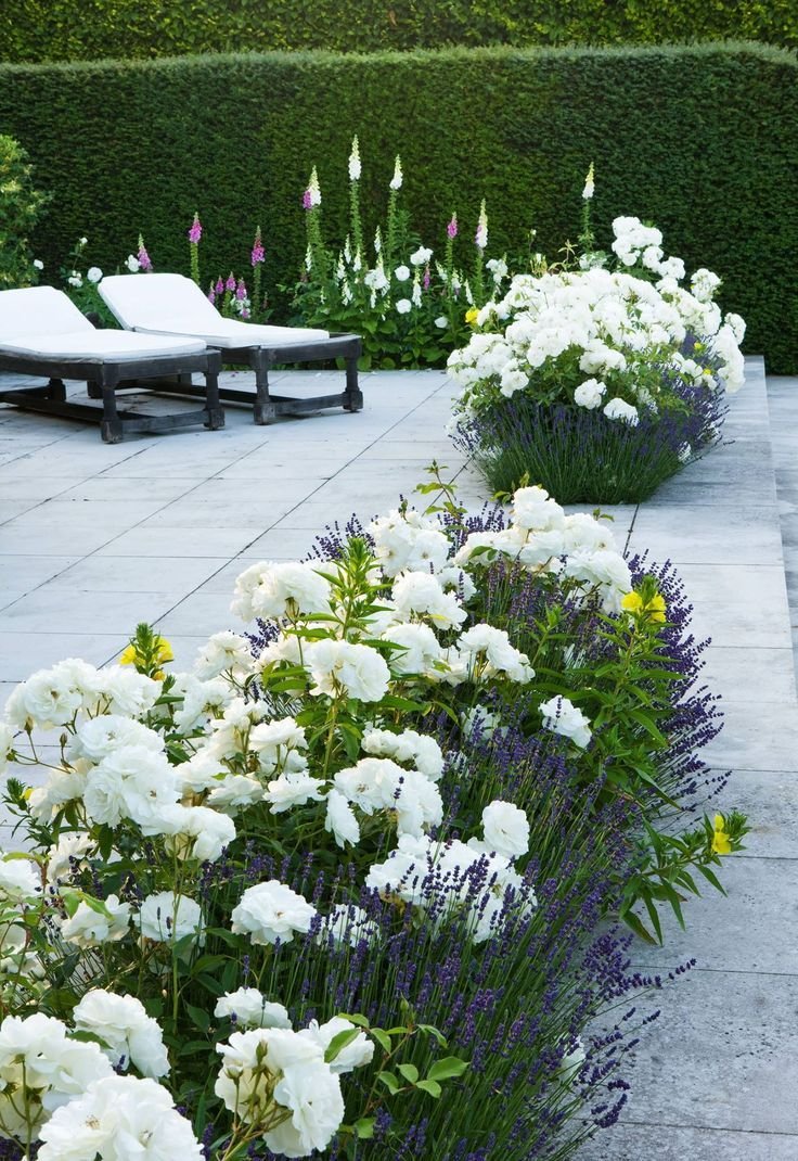best planters ideas on pinterest gardens garden design and black