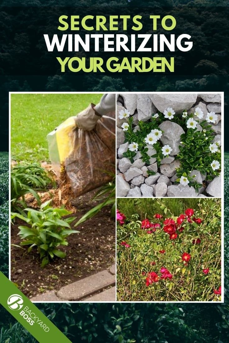 secrets to winterizing your garden | backyard boss blog posts