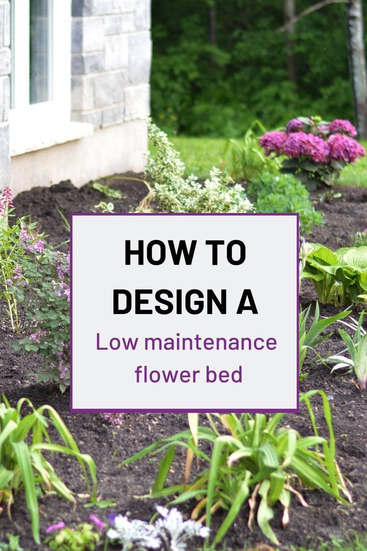 the best tips for designing and planting a low maintenance flower
