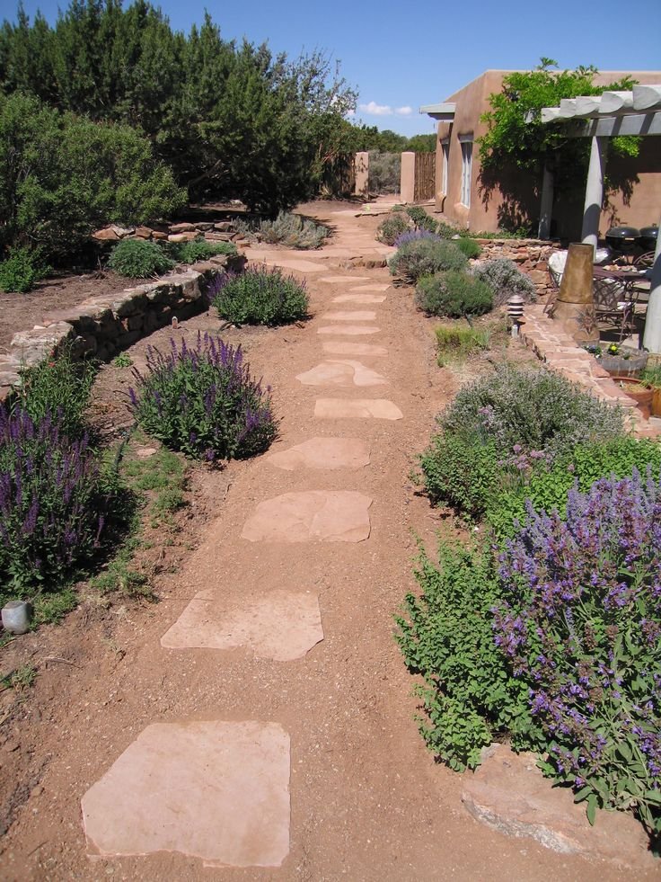 55 best desert landscaping ideas images on pinterest