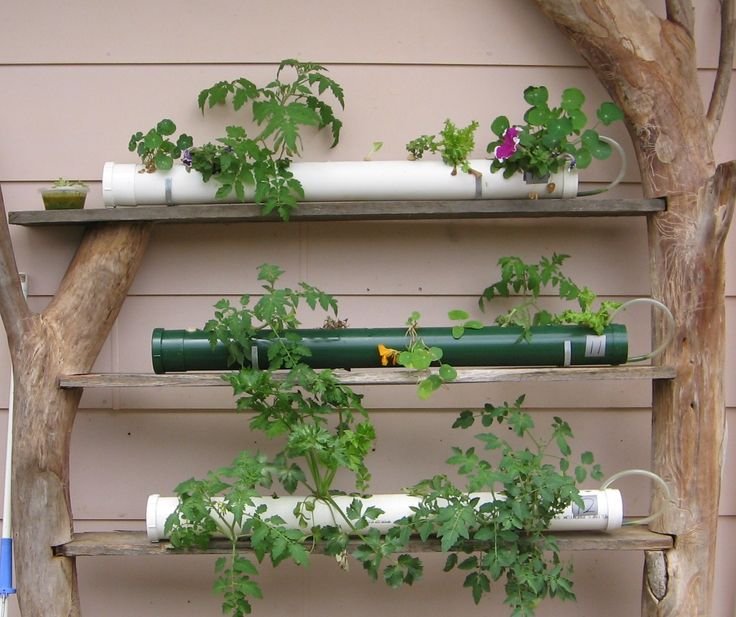 17 Best images about Hydroponics on Pinterest | Indoor ...