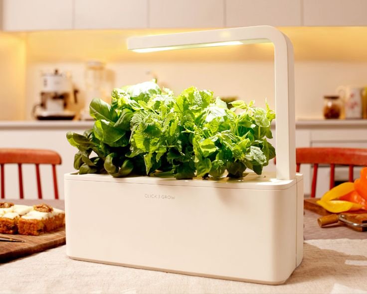 10+ images about Mini Hydroponics on Pinterest | Gardens ...
