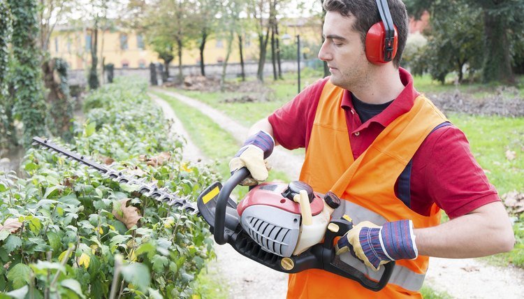 job description for a landscape laborer | career trend