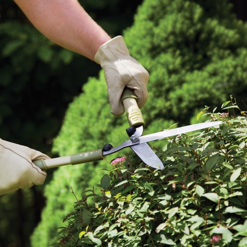 plant doctor ma, planting services ma, landscape service
