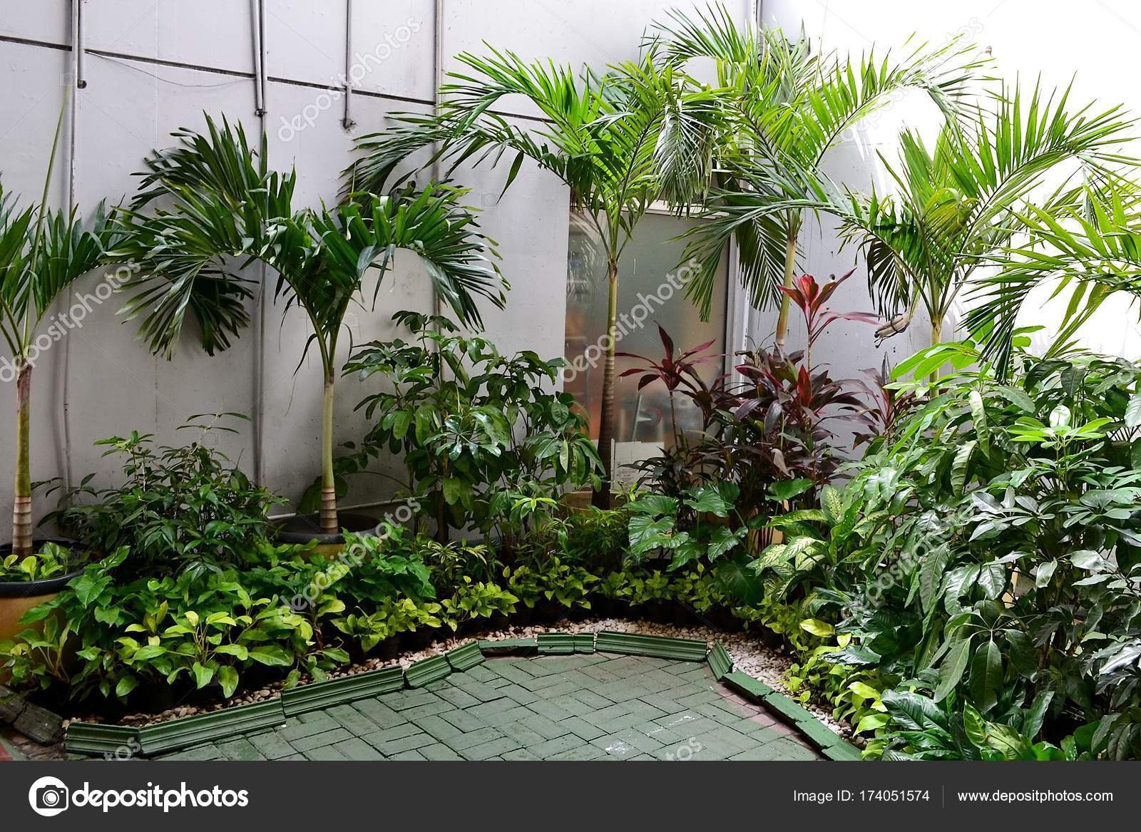 small tropical garden indonesia — stock photo © alex-nat #174051574