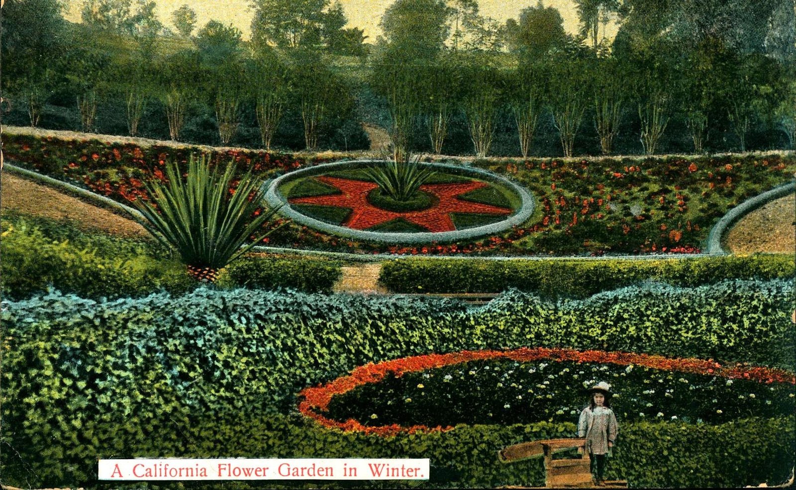 los angeles ca, california, flower garden, winter, child, 1910 vintage old  postcard ca851071
