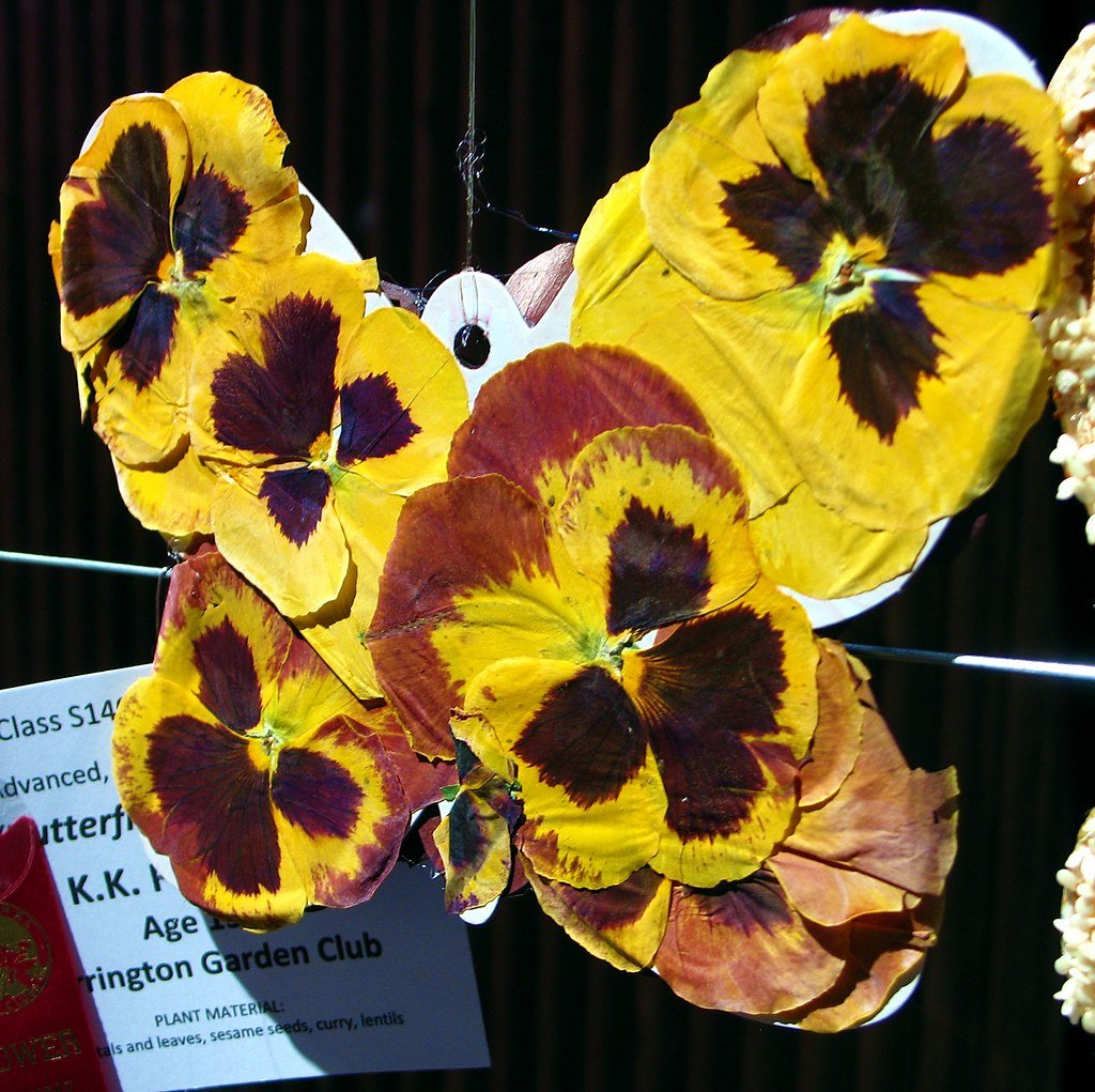 rhode island spring flower & garden show | 2013: celebrating… | flickr