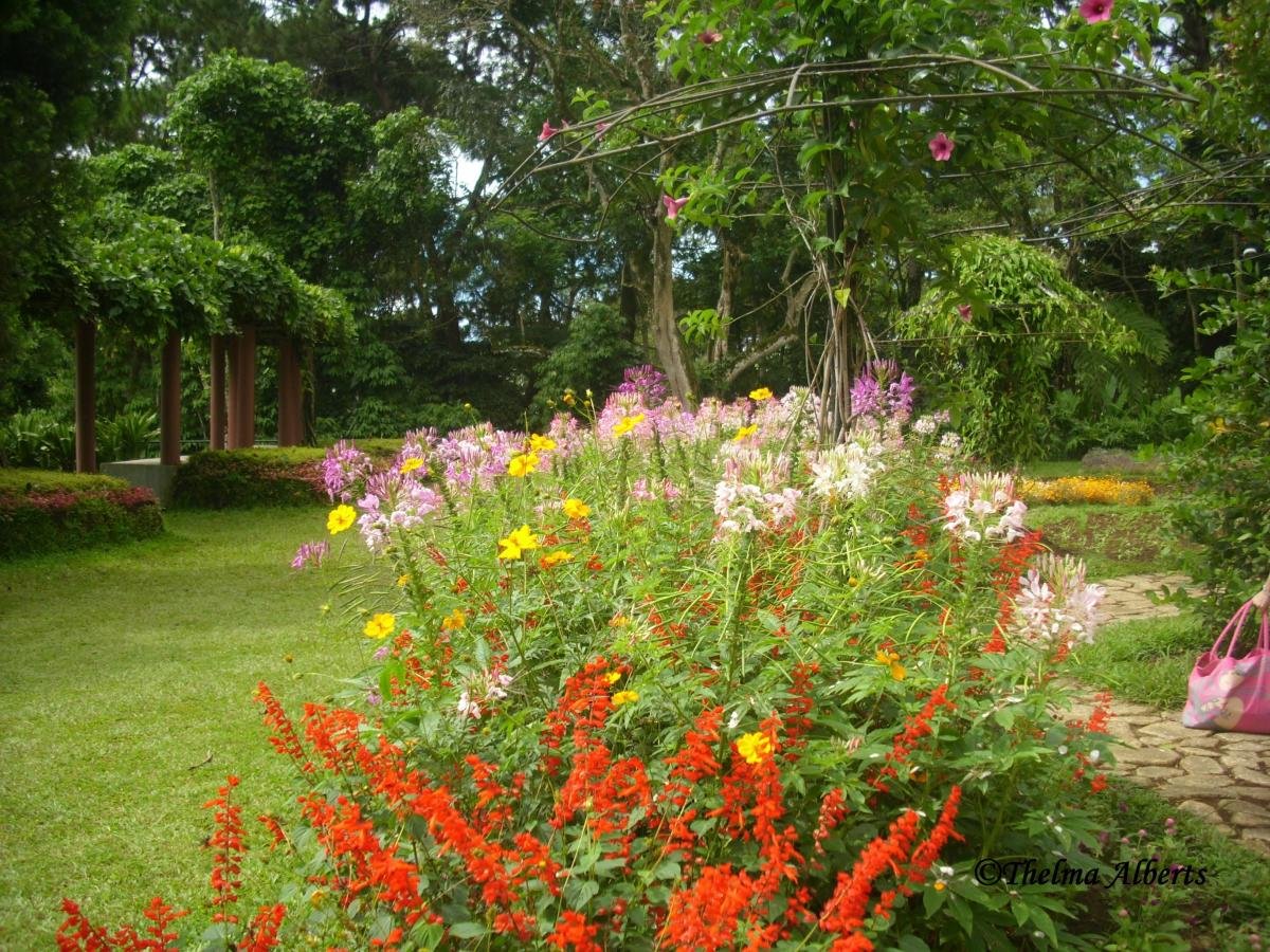 amazing eden nature park and resort, davao city, philippines | hubpages